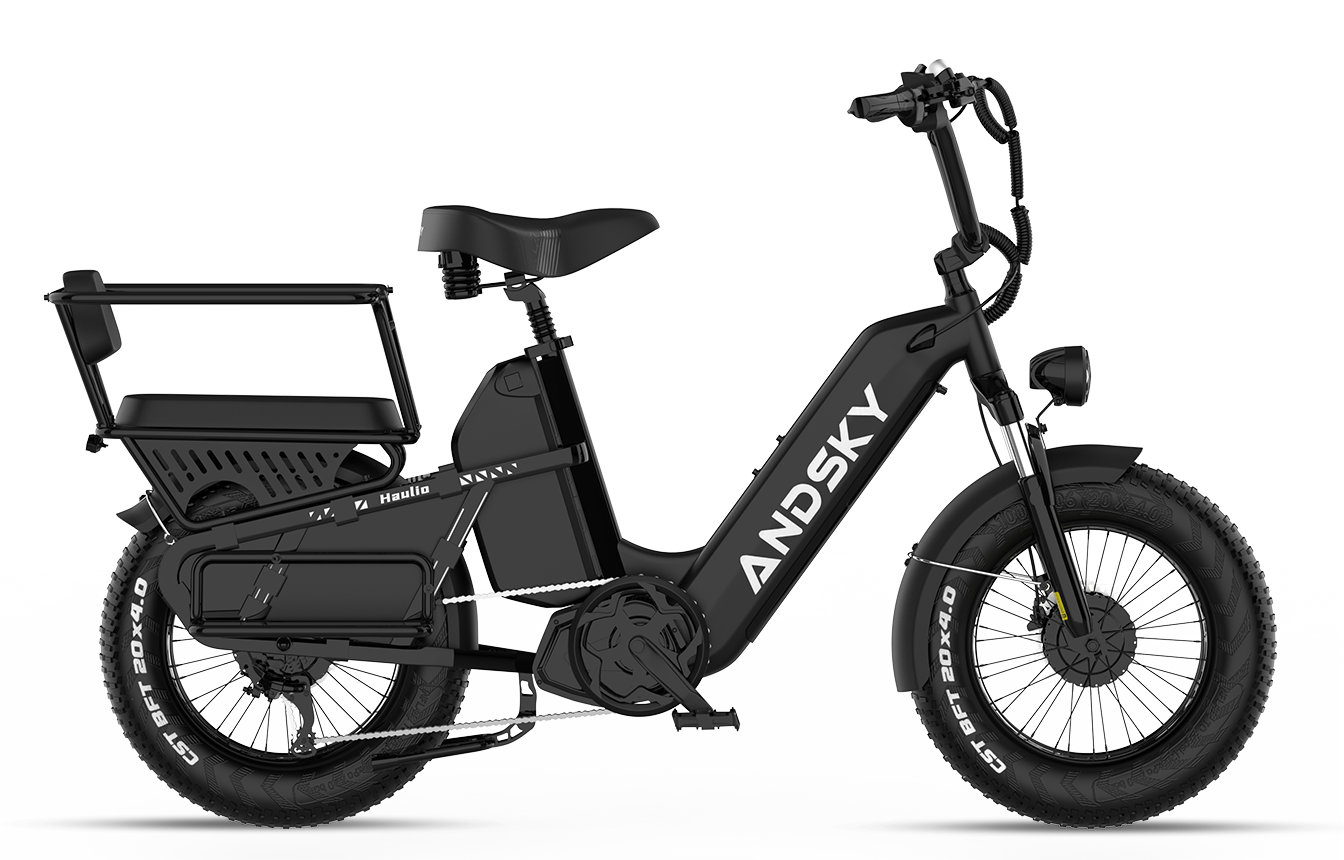 Haulio Max