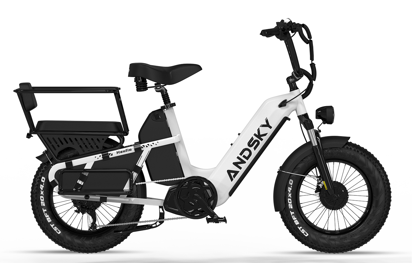 Haulio Max