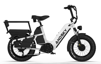 Haulio Max