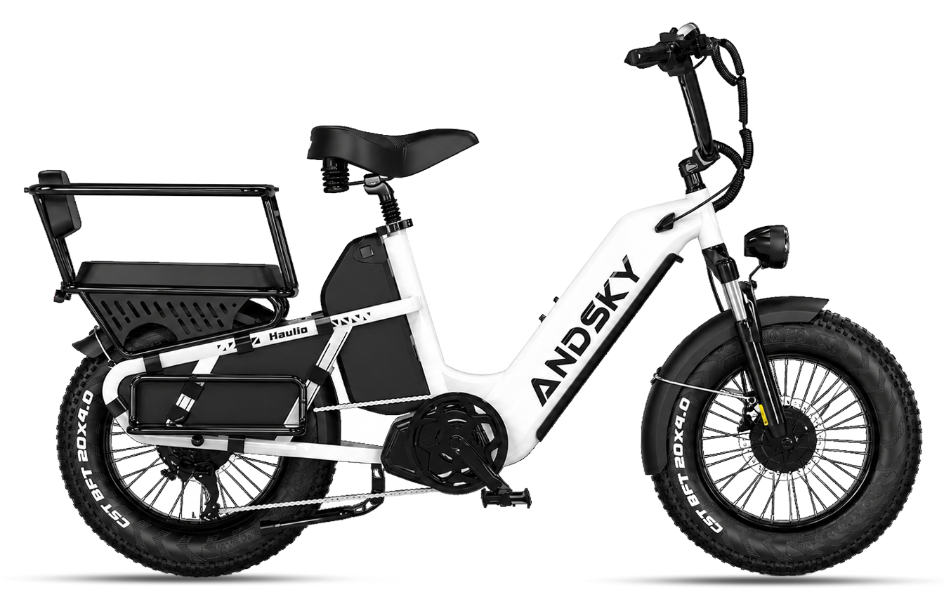 White（Torque / Cadence）
