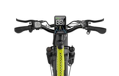 Apex 50