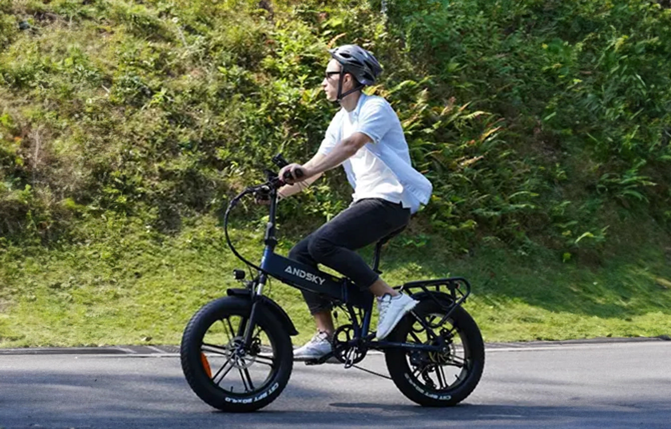 E300 Ebike