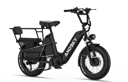 Haulio Max
