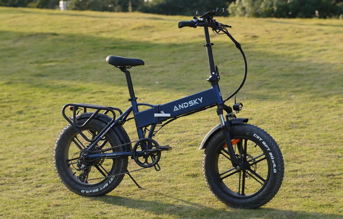E300 Ebike