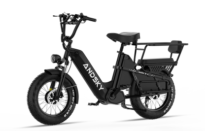 Haulio Max