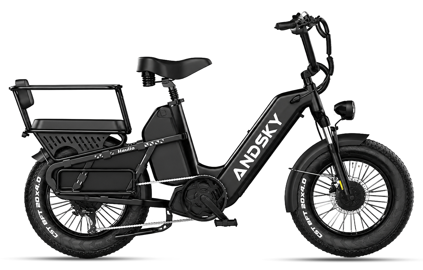 Black（Torque / Cadence）