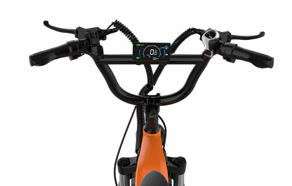 Haulio S
